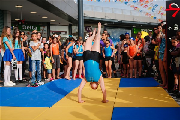 עדלאידע 2016